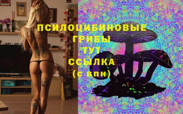 молекула духа Нефтекумск