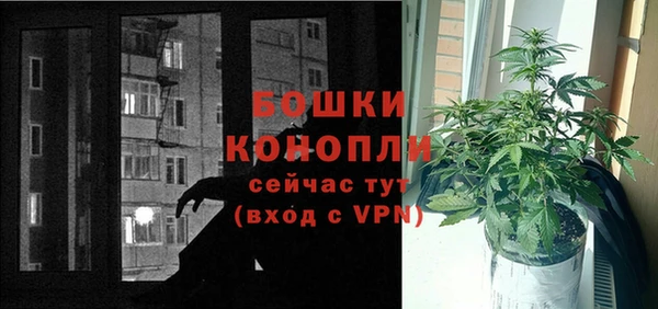 молекула духа Нефтекумск