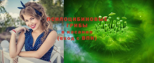 apvp Нея