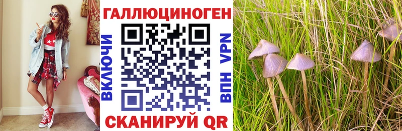 MEGA   купить наркоту  Харовск  Псилоцибиновые грибы Psilocybe 
